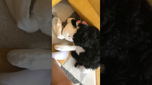 23. veljače 2024. смотреть онлайн