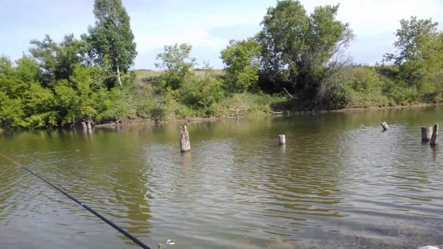 Классическая рыбалка, как мы отметили день рыбака на озере #ru_kompass #рыбалка #деньрыбака