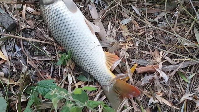 Астрахань 2020 смотреть онлайн