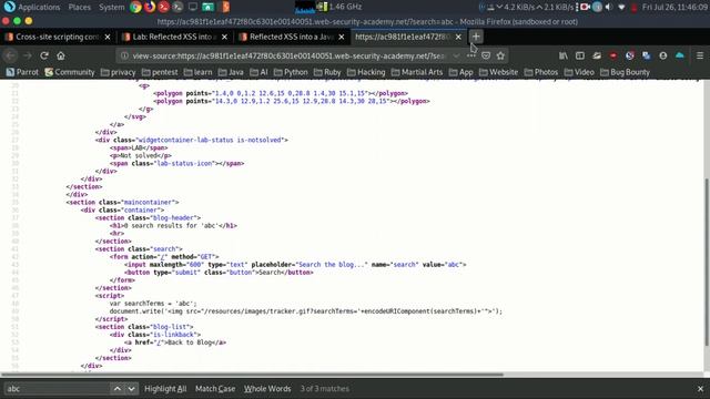 Some Examples of Reflected XSS смотреть онлайн