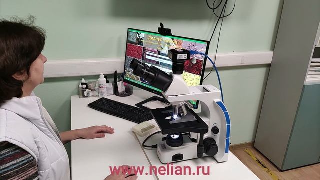 Системы визуальной диагностики Дианел в интегративной и холистической медицине а также нутрициологии смотреть онлайн