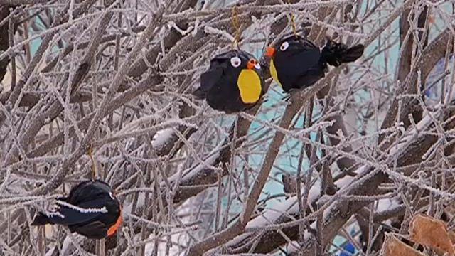 Детские сады Благовещенска превратились в зимнюю сказку смотреть онлайн