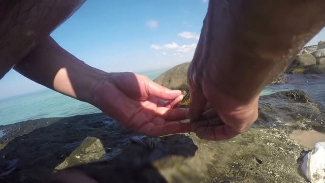 Как клюют бычки под водой смотреть онлайн