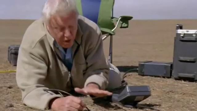 Life in Cold Blood III Dragons of the Dry смотреть онлайн