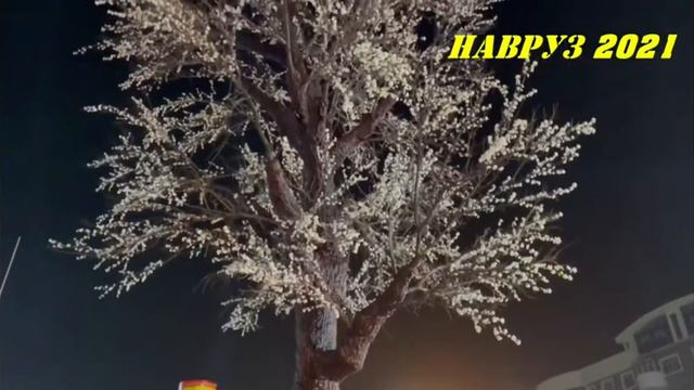 Навруз 2021 в Худжанде смотреть онлайн