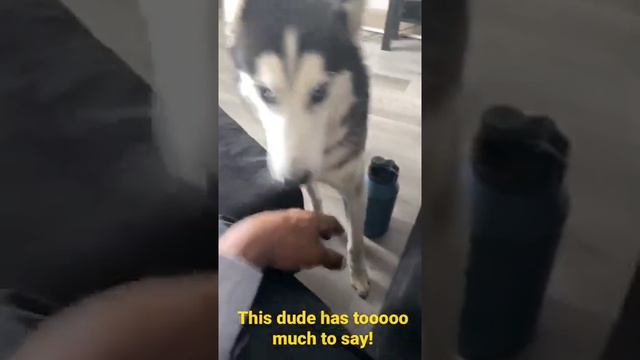 I need someone to translate bc he obviously isn’t getting his point across. смотреть онлайн