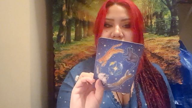 Everyday Witch Oracle & Tarot Review ✨ смотреть онлайн