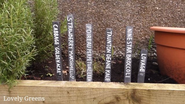 DIY Blackboard Plant Labels (waterproof + erasable) смотреть онлайн