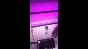 Какое освещение нужно огурцам? Фитосвет для огурцов и цветочных растений.