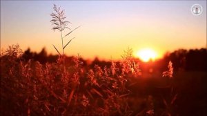 «Земля – наш дом» – познавательно-развлекательная программа для детей, посвящённая Дню защиты Земли