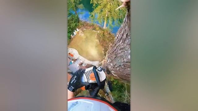 Гениальные Cтроители Совершенно Нового Уровня смотреть онлайн
