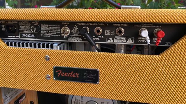 2021 Fender Princeton Tweed смотреть онлайн