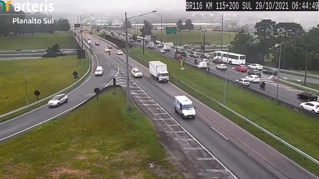 Попугай и дорожная камера смотреть онлайн