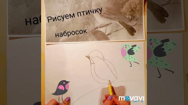 Как нарисовать птицу.Делаем набросок карандашом. смотреть онлайн