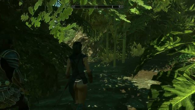Tropical Skyrim Intro смотреть онлайн