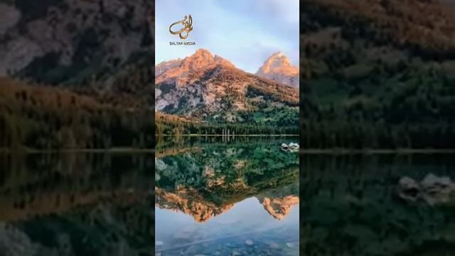 Шейх Мишари Рашид сура-47 Мухаммад #kuran#zakirnaik #kuran#sunnah#коран