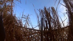 Охота на утку . Северная утка прилетела.Сбили много . Готовим шурпу с дикой утки/Duck hunting