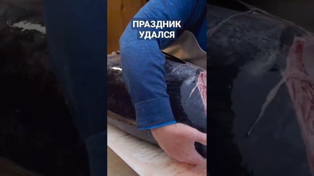 Мир Маленьких Пушистых