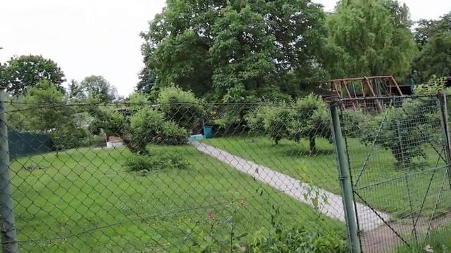 Чешские дачи.Наскальные растения около дома.Бездомный кот. смотреть онлайн