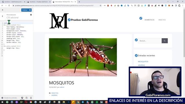 ➤ Cómo poner una IMAGEN en TAMAÑO COMPLETO en WORDPRESS || Truco con CSS смотреть онлайн
