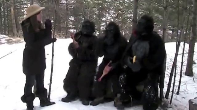 Bongo & Tongo The Search for the Princeton Gorilla смотреть онлайн