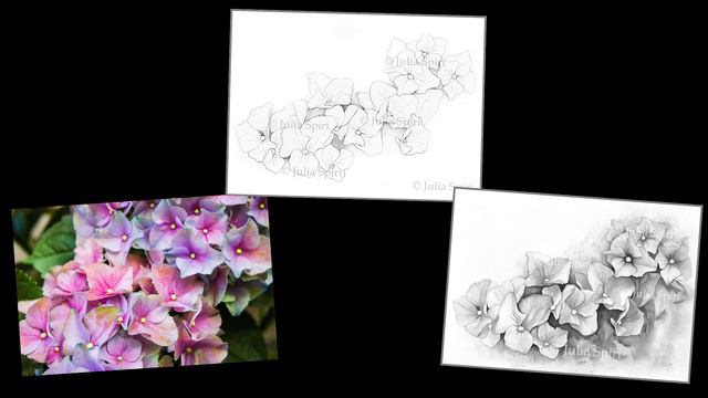 How to Paint Hydrangea in Watercolor 🌸 Beginners and Advanced welcome! смотреть онлайн