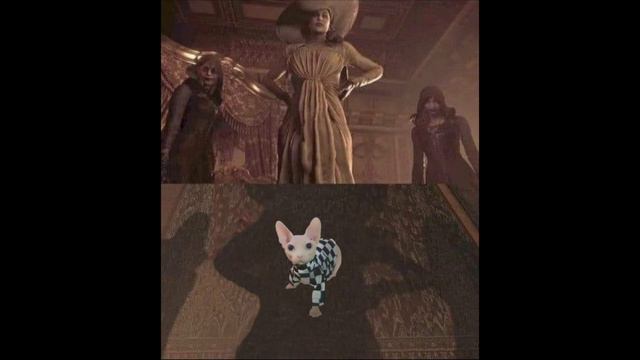 БИНГУС - кто это? История Бингуса Bingus