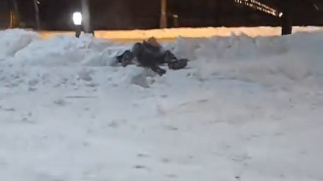 DRIVE2.RU Днепропетровск - "Экстрималы на санках" (18.12.09) смотреть онлайн