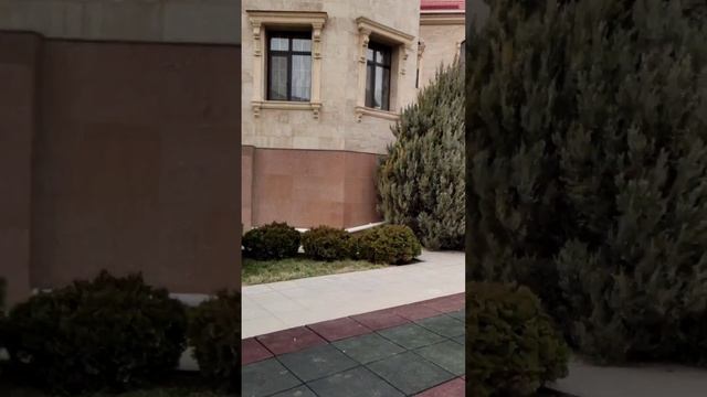 Ландшафтный дизайн / сад / огород / дом /#огород #домисад #дерево #таке смотреть онлайн