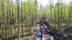 Вездеход Трекол