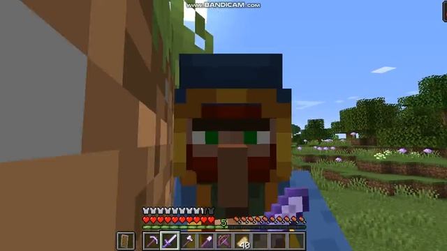 Как играть за странствующего торговца в minecraft? смотреть онлайн