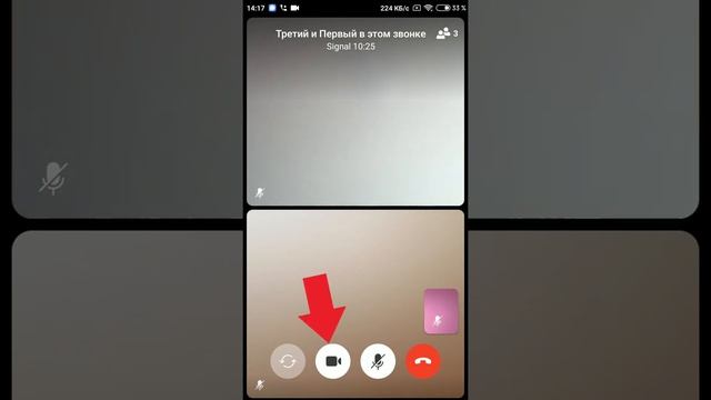 Групповой звонок в Signal смотреть онлайн