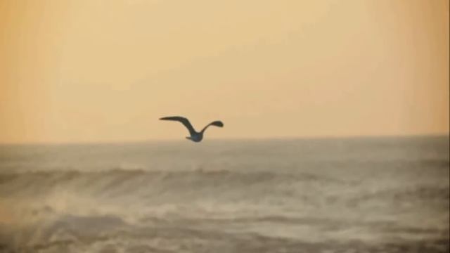 ,,Ты единственный,, Наташа Галич ,Для тебя авт рол Letyashchaya,8 10 15г смотреть онлайн