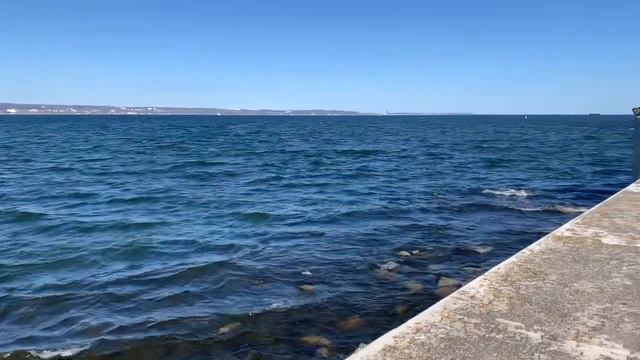 Новый порт Гданьск. 3 мая 2023г смотреть онлайн