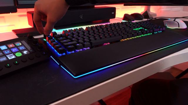 Razer BlackWidow V4 Pro 🐍 Unboxing & First Impressions