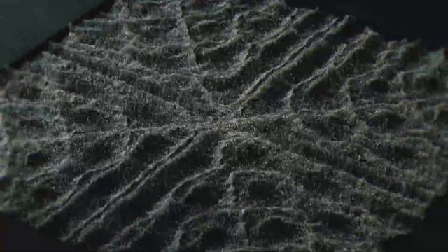 Blender Geometry Nodes 021 #chladni #sand #cymatics смотреть онлайн