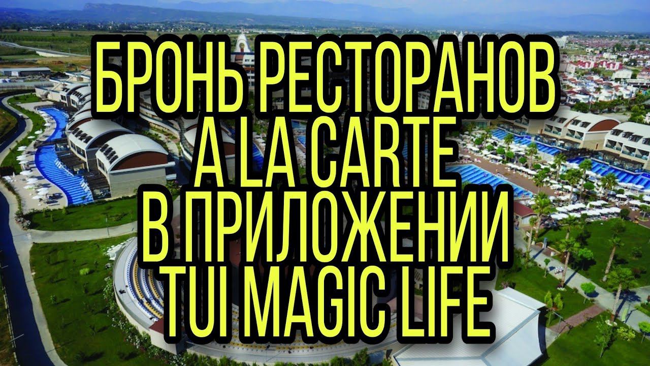 Как забронировать развлечения и рестораны A la carte в приложении TUI MAGIC LIFE. смотреть онлайн