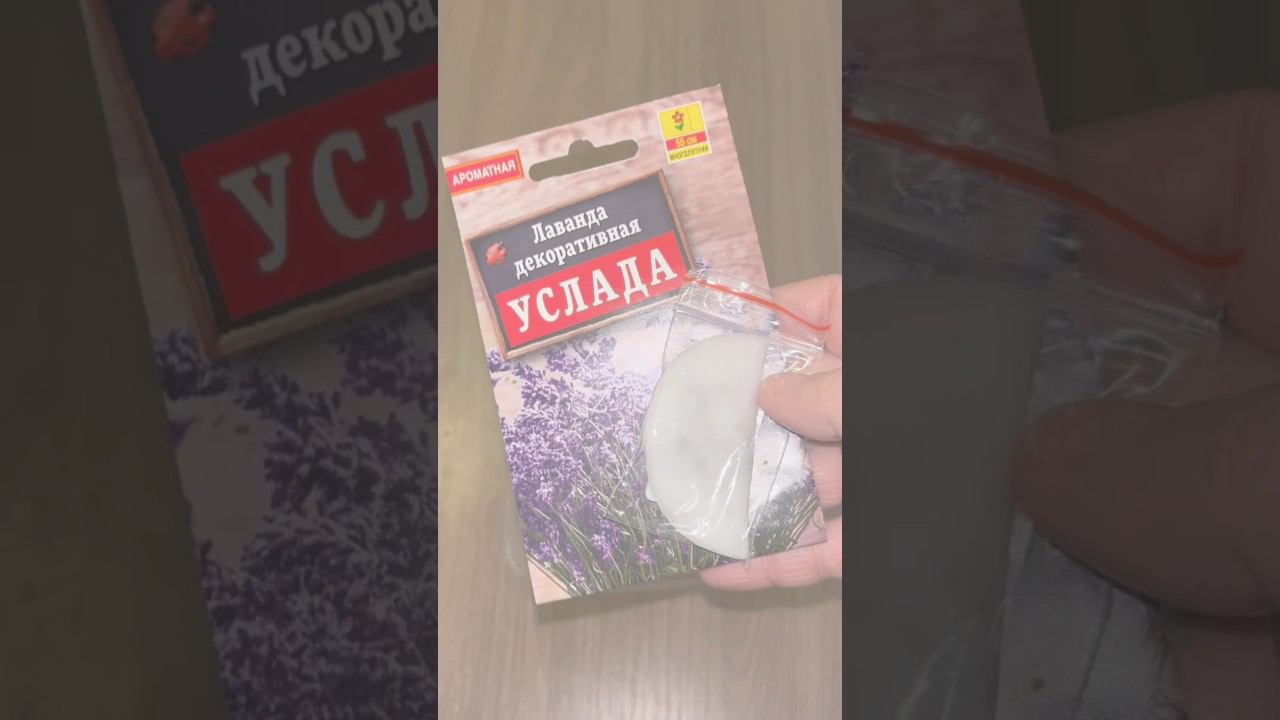 Сделайте ЭТО и семена взойдут 100% | Секрет САМОЙ УДОБНОЙ СТРАТИФИКАЦИИ семян ЛАВАНДЫНе потеряй!