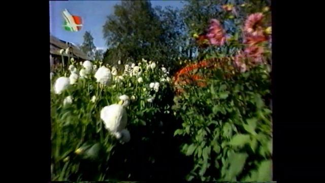 Игорь на ТВ смотреть онлайн