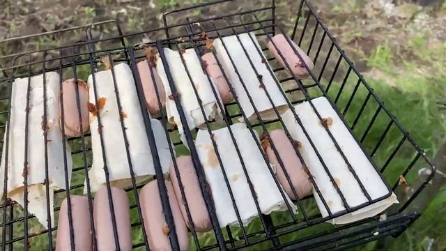 Мы купили дачу! №6 Сын есть, посадил дерево, осталась дача #рэп #дача #семья смотреть онлайн