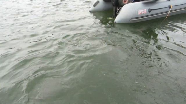 Судак 6 кг Истринское водохранилище смотреть онлайн