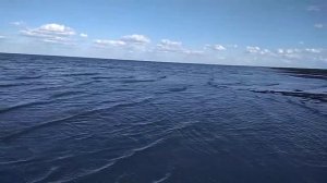 Кулундинское озеро