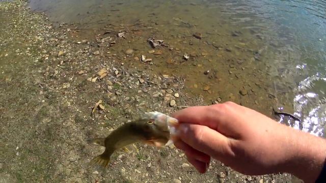 РЫБАЛКА СТАВРОПОЛЬ ЩУЧКА СТАРОГО РУСЛА смотреть онлайн