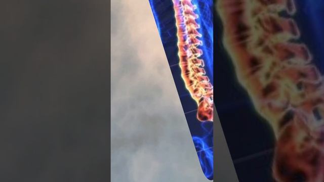 28 ноември 2023 г. смотреть онлайн