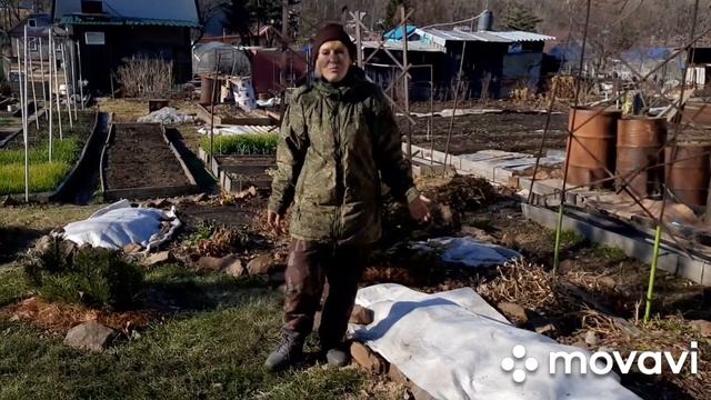Канадские розы. Как укрыть на зиму смотреть онлайн