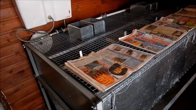 Калифорнийский кролик. Окролы. смотреть онлайн