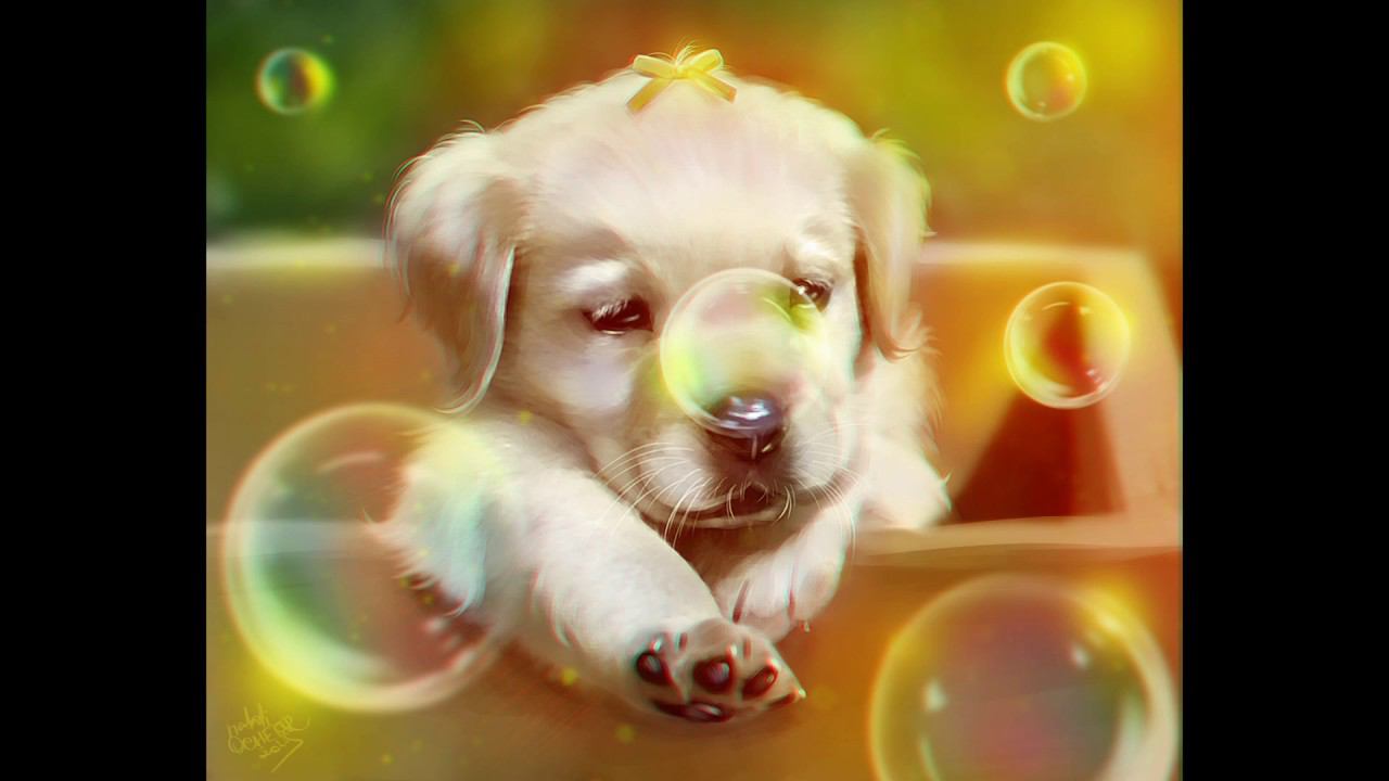 Отрисовка щенка по фото смотреть онлайн