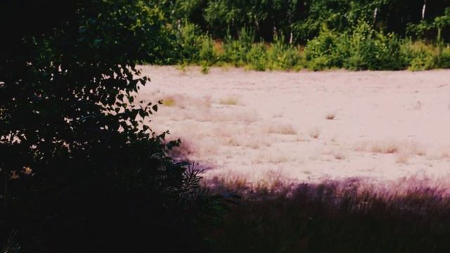 Canon 250D смотреть онлайн