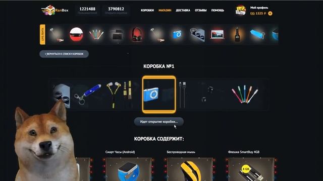 ПРОВЕРКА САЙТА РАНБОКС! ХАЛЯВА! ОТКРЫВАЕМ БЕСПЛАТНЫЙ КЕЙС! ЗАКАЗЫВАЕМ ДОСТАВКУ. смотреть онлайн