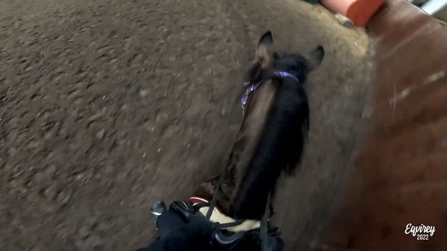тренировка БЕЗ ЖЕЛЕЗА | ЖДУ ТЕБЯ В ТЕЛЕГРАМ | GoPro смотреть онлайн